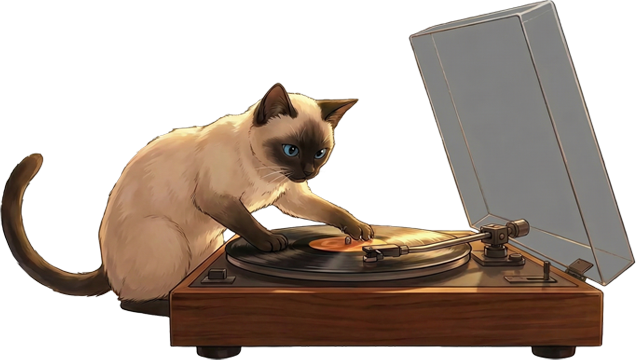 Cat DJ
