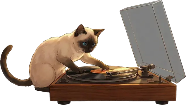 Cat DJ